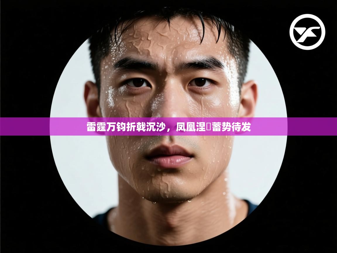 雷霆万钧折戟沉沙，凤凰涅槃蓄势待发